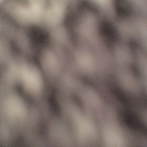 Meet your Posher, Violet